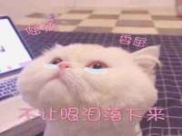 河北流量王商贸有限公司
