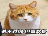 河北流量王商贸有限公司