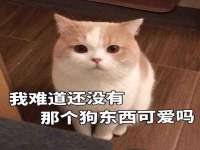 河北流量王商贸有限公司