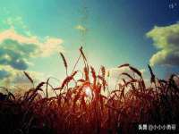 河北流量王商贸有限公司