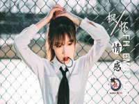 河北流量王商贸有限公司