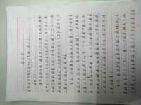 河北流量王商贸有限公司