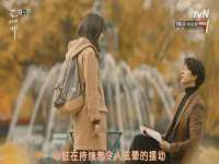 河北流量王商贸有限公司