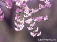 河北流量王商贸有限公司