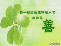 河北流量王商贸有限公司