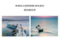 河北流量王商贸有限公司