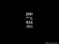 河北流量王商贸有限公司