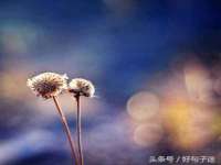 河北流量王商贸有限公司