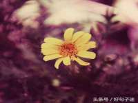 河北流量王商贸有限公司