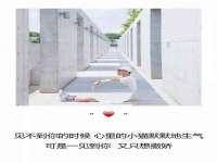 河北流量王商贸有限公司