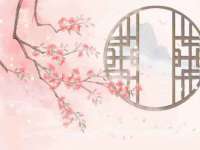 河北流量王商贸有限公司