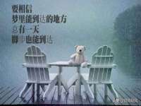 河北流量王商贸有限公司