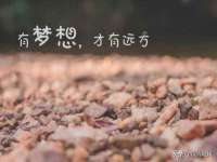 河北流量王商贸有限公司
