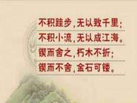 河北流量王商贸有限公司