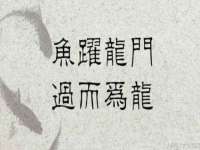 河北流量王商贸有限公司