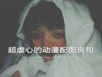 河北流量王商贸有限公司