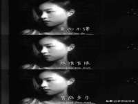 河北流量王商贸有限公司