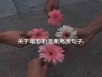 河北流量王商贸有限公司
