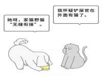 河北流量王商贸有限公司