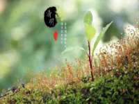 河北流量王商贸有限公司