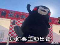 河北流量王商贸有限公司