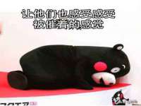 河北流量王商贸有限公司