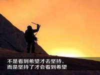 河北流量王商贸有限公司