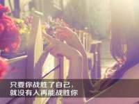 河北流量王商贸有限公司