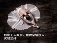 河北流量王商贸有限公司