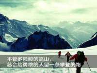 河北流量王商贸有限公司