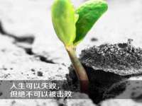 河北流量王商贸有限公司
