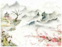河北流量王商贸有限公司