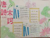 河北流量王商贸有限公司