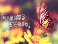 河北流量王商贸有限公司