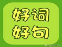 河北流量王商贸有限公司