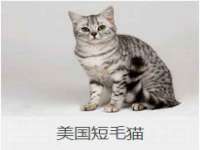 河北流量王商贸有限公司