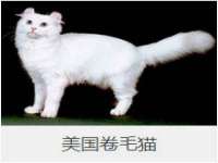 河北流量王商贸有限公司