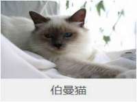河北流量王商贸有限公司