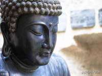 河北流量王商贸有限公司