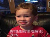 河北流量王商贸有限公司