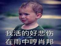 河北流量王商贸有限公司