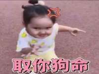 河北流量王商贸有限公司