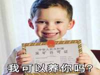 河北流量王商贸有限公司