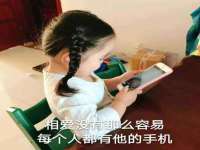 河北流量王商贸有限公司