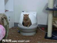 河北流量王商贸有限公司