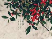 河北流量王商贸有限公司