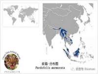 河北流量王商贸有限公司