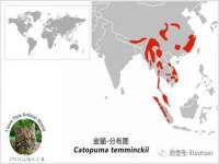河北流量王商贸有限公司