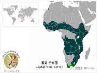河北流量王商贸有限公司