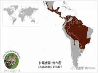 河北流量王商贸有限公司